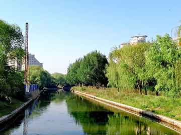 爱上海：A vibrant Shanghai backyard, making you forget the hustle and bustle of the city!