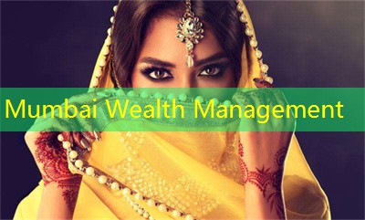 Jaipur Wealth Management：Artificial Intelligence Stocks in India (2024)